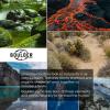 imageKastKing Sol Armis UPF 50 Boonie Hat  Sun Protection Fishing Beach ampamp Hiking Paddling Rowing KayakingM Calypso Laservented Design