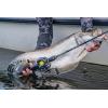 imageKastKing Kestrel Elite Baitcasting Fishing Reel Finesse Baitcaster Lightest Easily Cast Lures Down to 132 oz 111 Double Shielded BB Available in 841 and 751 Gear RatiosKestrel Elite  44oz