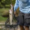 imageKastKing Brutus Fishing Net Foldable Extendable Fish Landing Net Lightweight ampamp Portable Fishing Net with Soft EVA Foam Handle Holds up to 44lbs20KG FishFriendly Mesh for a Safe ReleaseB PVC net  Hoop Size 20 16 10 not extendable