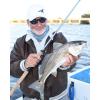imageKastKing Estuary Inshore Saltwater Fishing Rods Spinning Rods and Casting Rods Featuring American Tackle Microwave Air Guides IM7 Toray Carbon Blanks Nano Resin Technology AAA Cork Handles