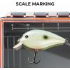 imageKastKing HyperSeal Waterproof Tackle Box 3700 Deep Tackle Trays Fishing Tackle Box Organizer With Exterior Stickers Fishing Gear ampamp Fishing Accessories Storage37002 pack no compartment