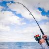 imageKastKing Kong Saltwater ampamp Freshwater Fishing Rod Powerful Lightweight SCurve Graphite Rod Blanks Nano Resin Technology StainlessSteel DoubleFoot Guides wTitanium Oxide Rings NonSlip HandlesA Spin 76Mh PowerFast2pcs