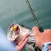 imageKastKing Spartacus II Fishing Rods  IM6 Graphite Blanks Casting ampamp Spinning Rods 2Piece Rods with Extra Tip Section PTS Power Transition System KastFlex Technology Rubber Cork HandleD Cast710 H Exfast 2 Pcs Extra Tip
