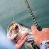 imageKastKing Spartacus II Fishing Rods  IM6 Graphite Blanks Casting ampamp Spinning Rods 2Piece Rods with Extra Tip Section PTS Power Transition System KastFlex Technology Rubber Cork HandleC Cast76 Mh Fast 2 Pcs Extra Tip