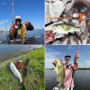 imageKastKing Lethal Blaze TwinTip Fishing Rods IM6 Graphite Blanks Casting amp Spinning Rods 2Piece Rod with Extra Tip PTS Power Transition System Ideal for Bass Freshwater amp Inshore Fishing610 MH 2pcs  Extra Tip