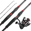 Spin: 3000 Reel  6'6''- M Rod(2 Pcs + Extra Tip)